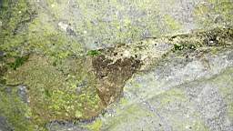 acastle
                          103560.jpg